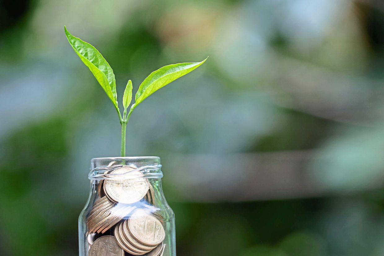 Investment Law