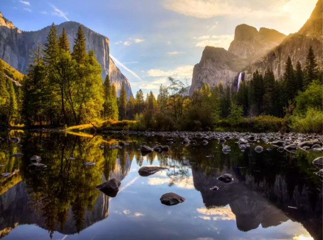 Environmental Law 